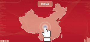 Digital China statistics 2015